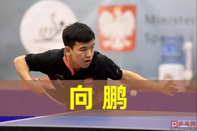 篮球湖人球员训练后心理状态良好