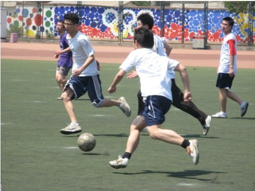 心理疏导的 心理疏导的